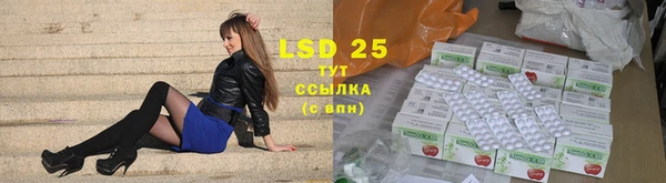 прущие грибы Лагань