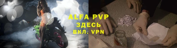 прущие грибы Лагань