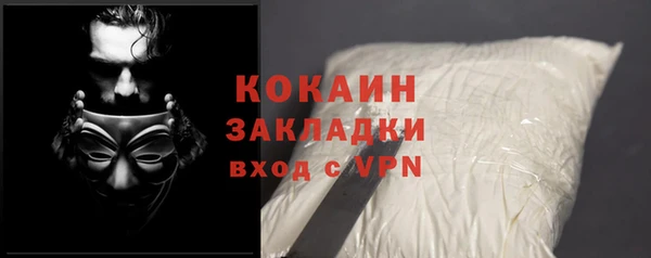 прущие грибы Лагань