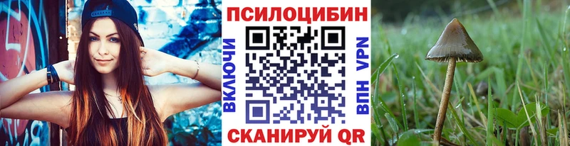 купить закладку  Гдов  Галлюциногенные грибы мухоморы 